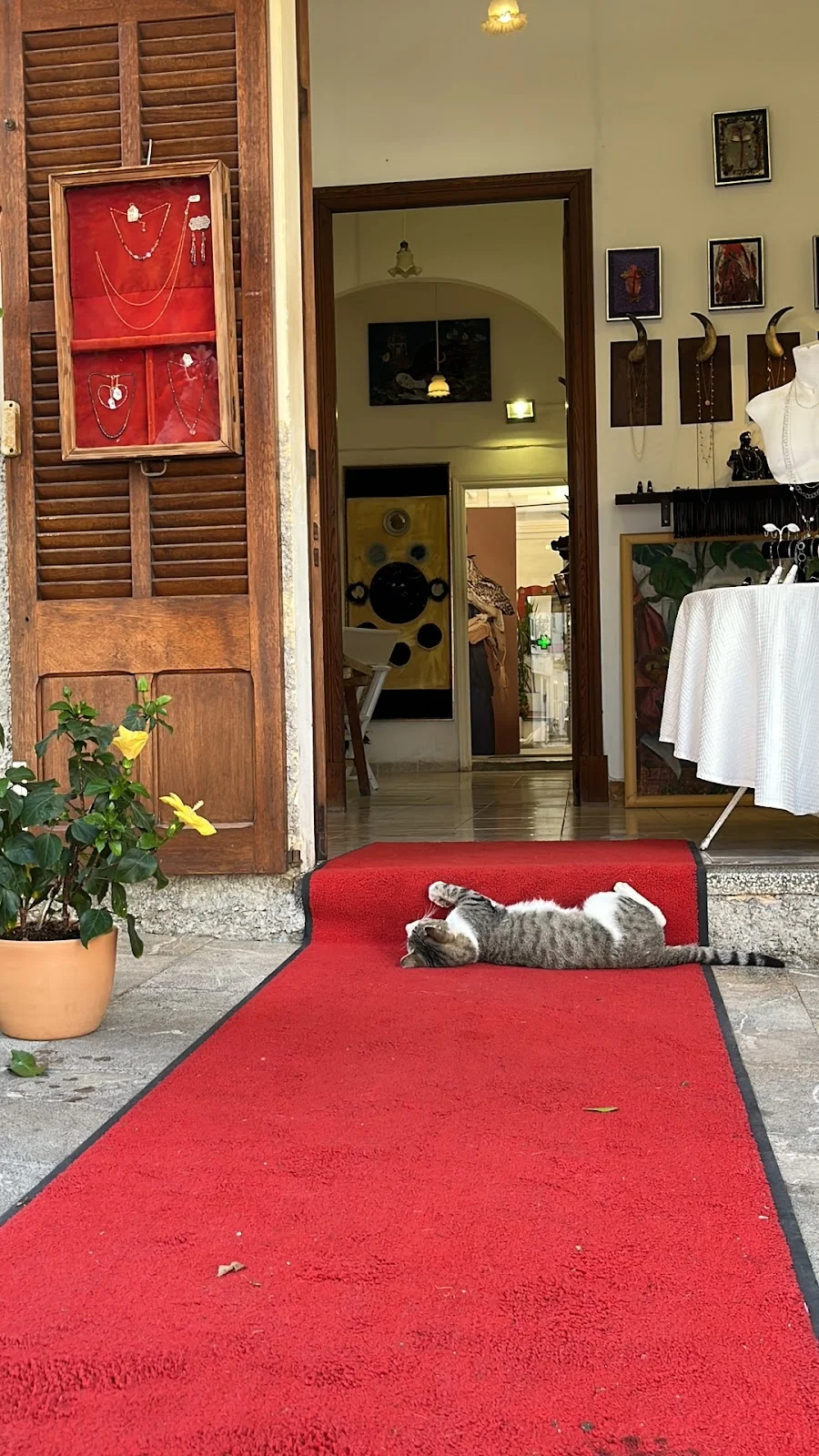 Galeria Boca Roja - Bild 8