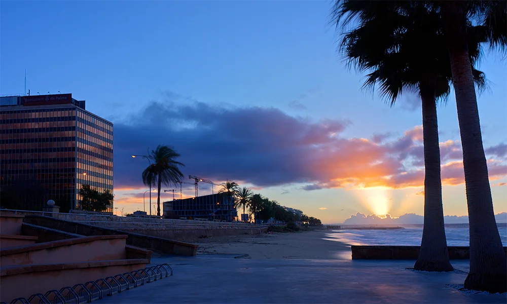 IPM Immobilien Mallorca - Bild 6