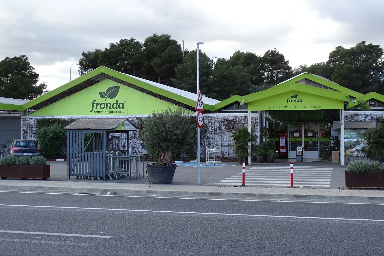 Fronda Cardenal Rossell - Bild 1