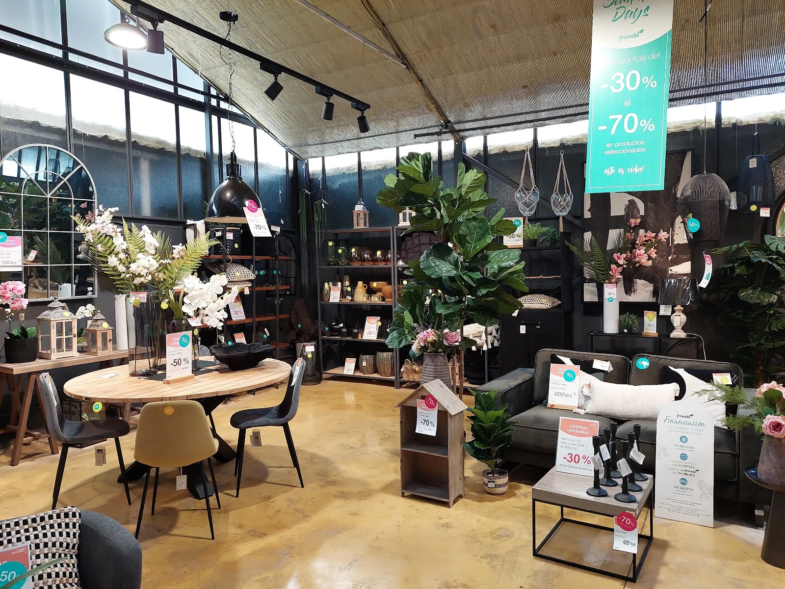 Fronda Cardenal Rossell - Bild 5