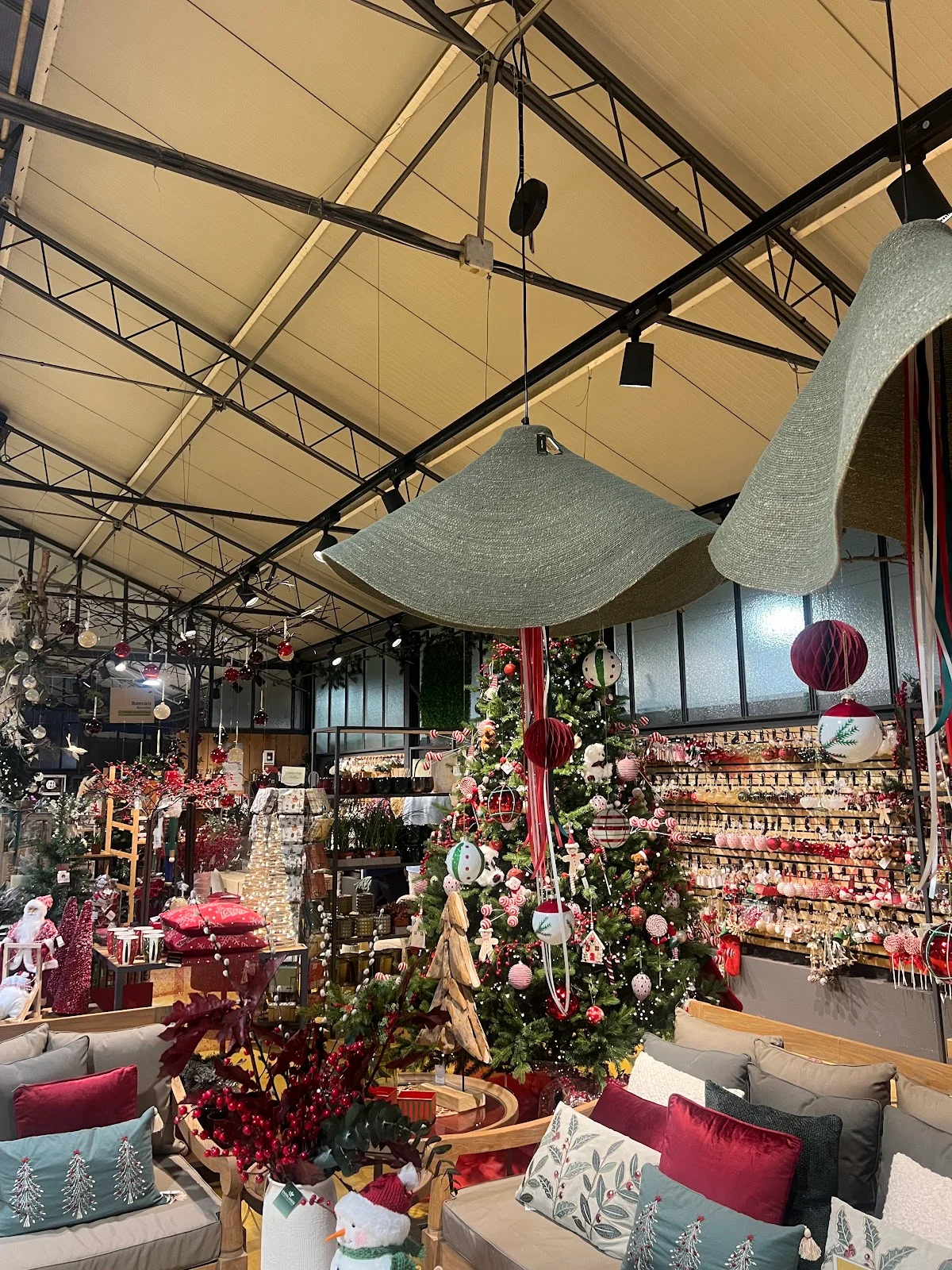 Fronda Cardenal Rossell - Bild 8