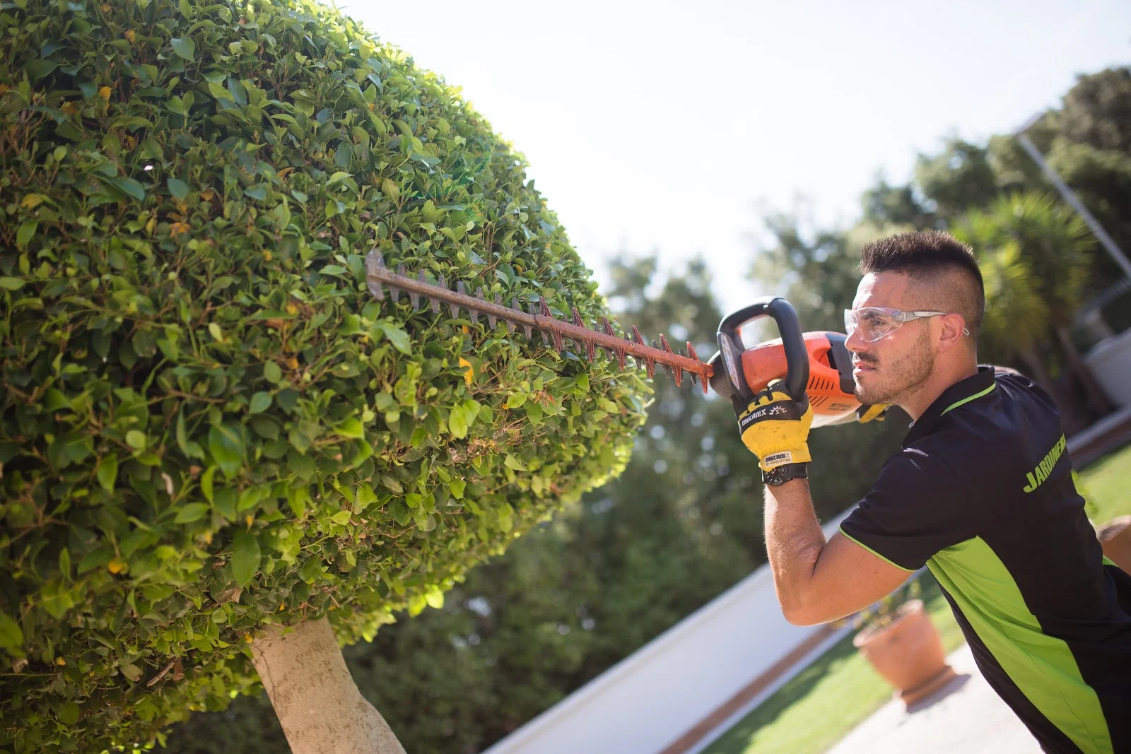 Jardinería Mallorquina Pujol - Bild 1