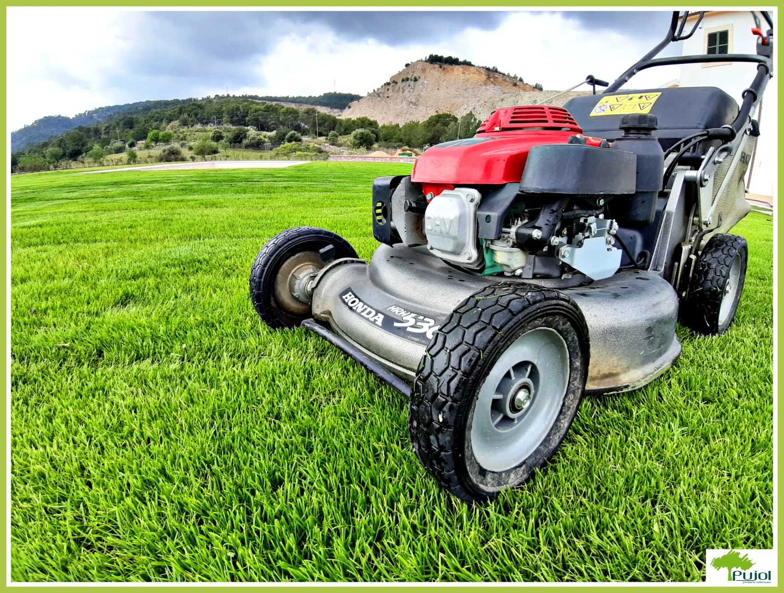 Jardinería Mallorquina Pujol - Bild 6