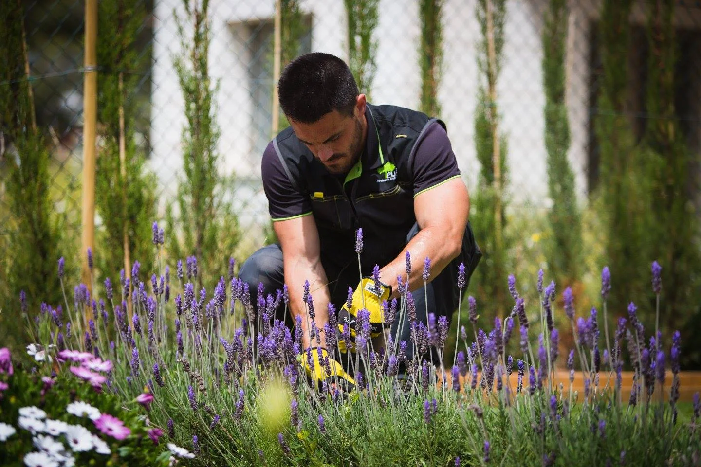 Jardinería Mallorquina Pujol - Bild 9