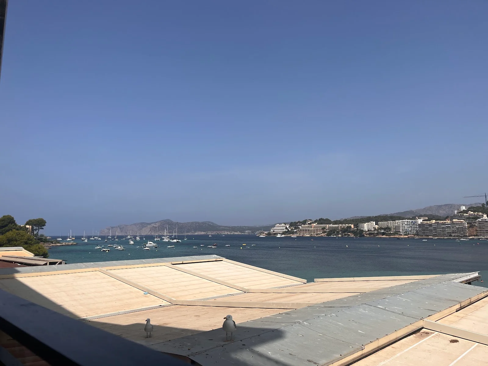 Virtus Smash Burger & Beer - Bild 3