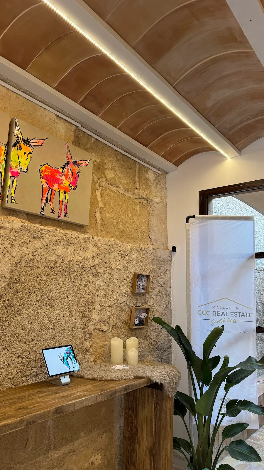 the donkey gallery - Bild 3