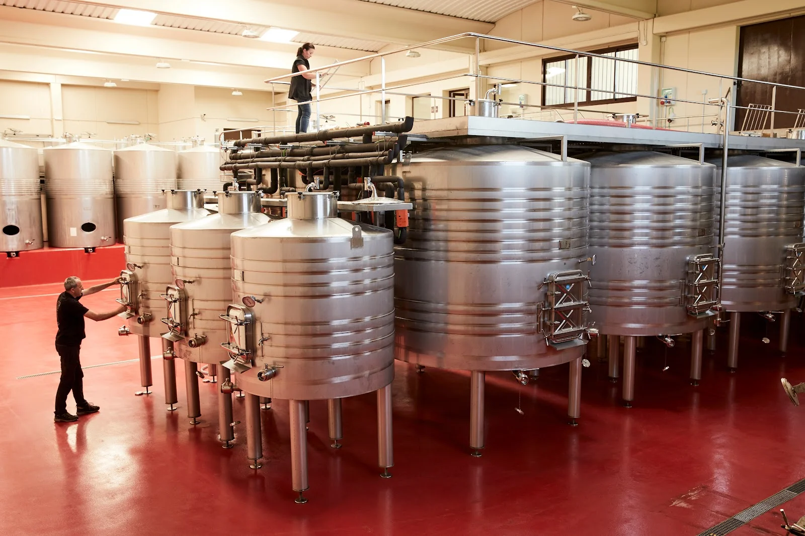 Miquel Oliver Vinyes i Bodegues - Bild 10