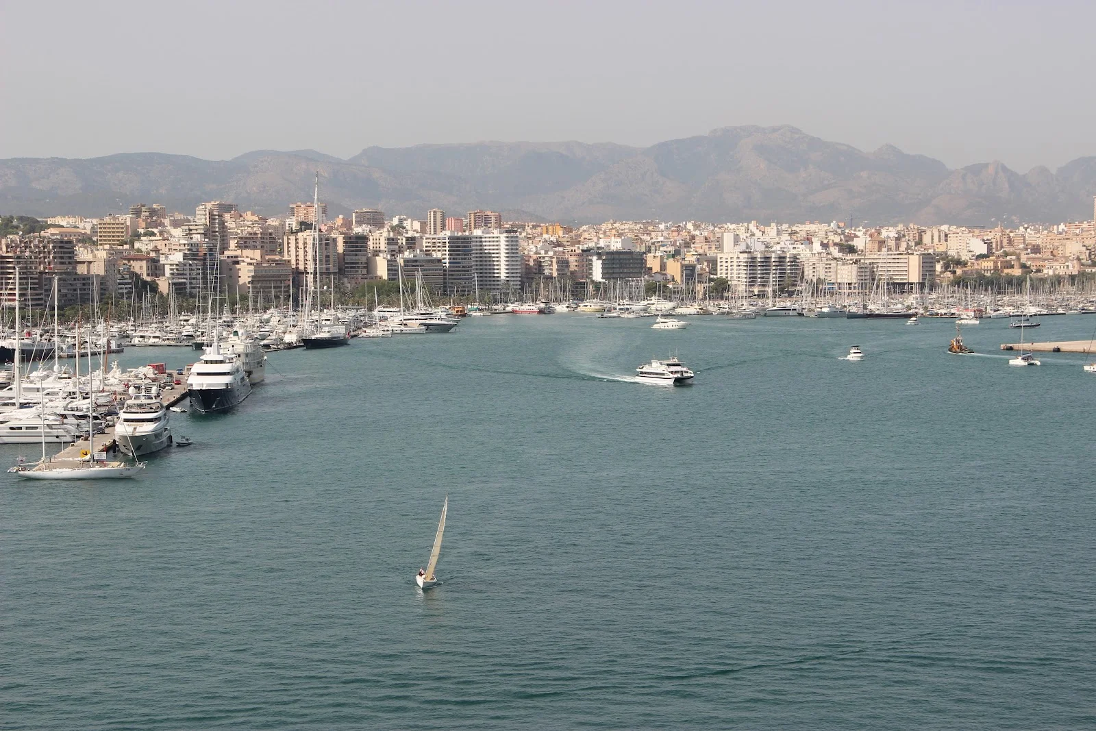 Puerto Palma - Bild 2