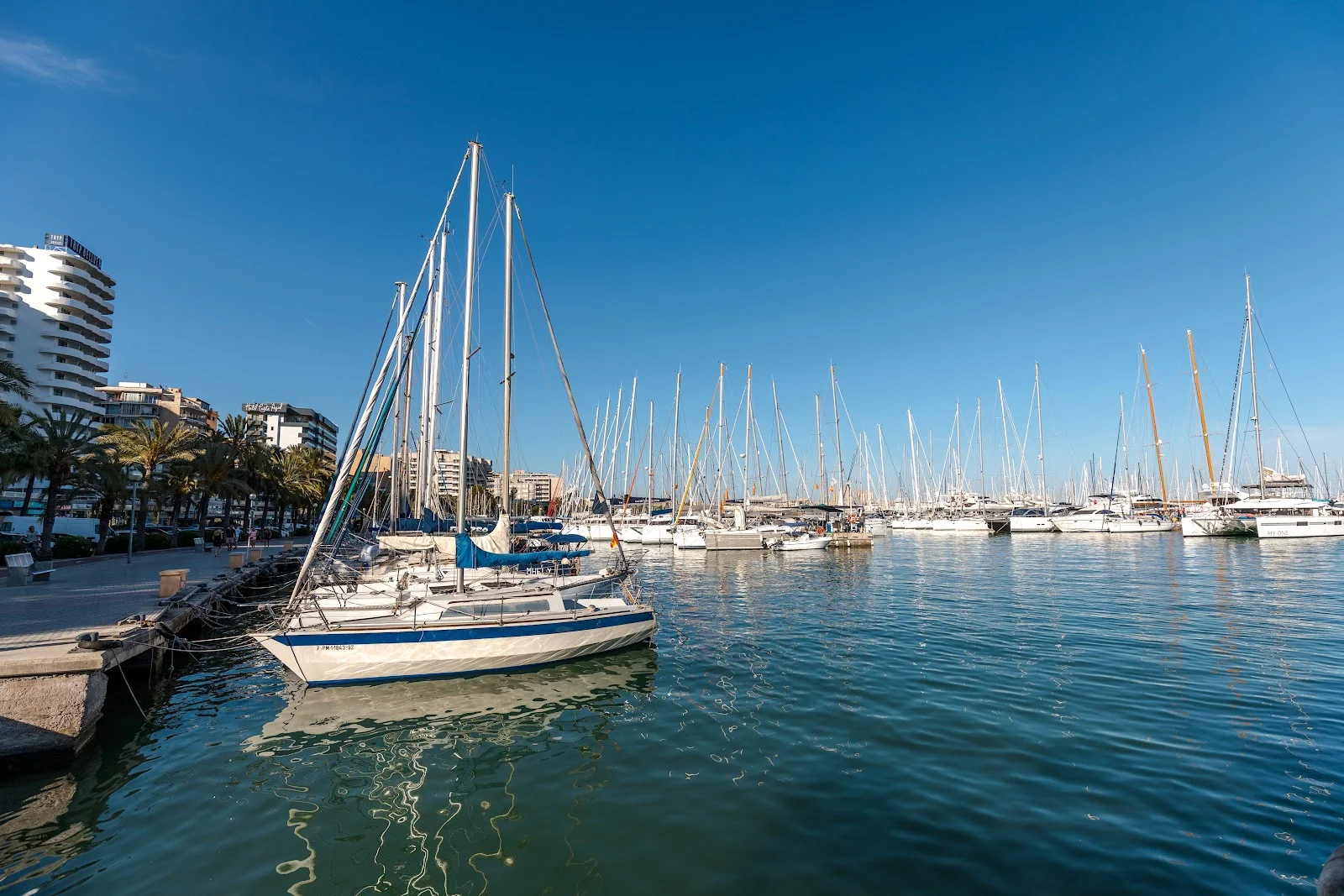 Puerto Palma - Bild 7