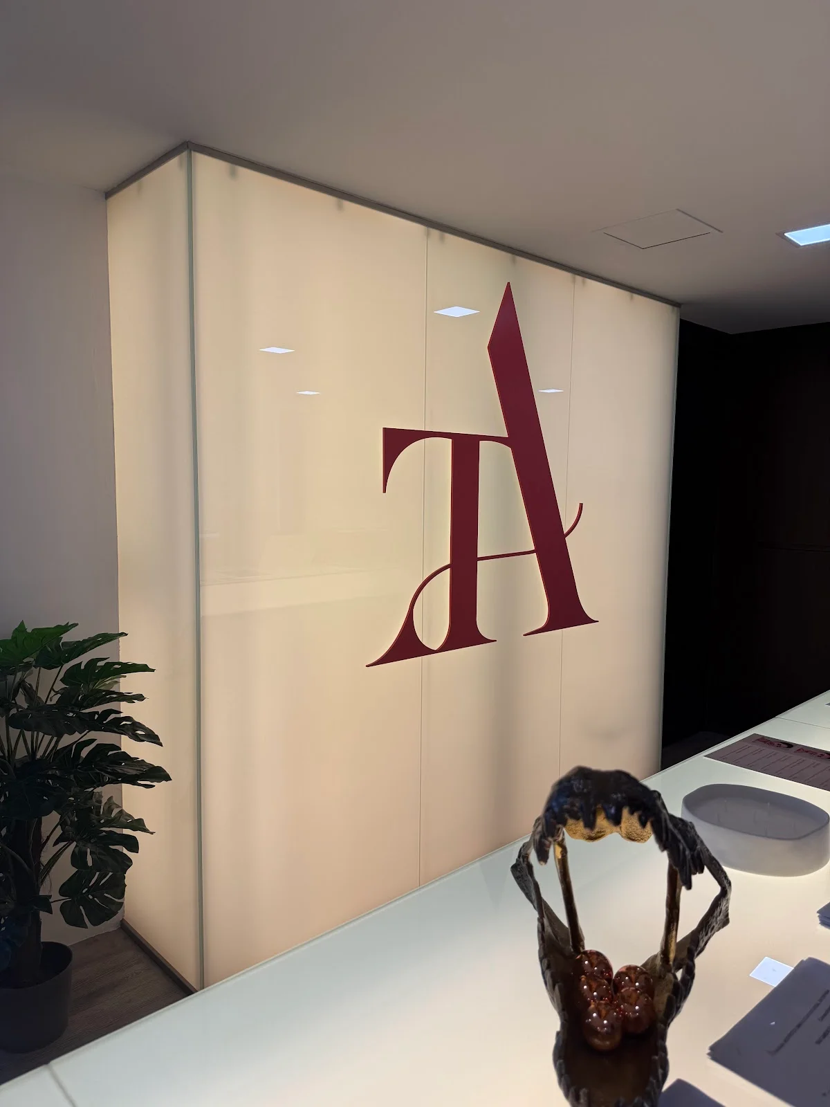 Taviara Aesthetics - Bild 6