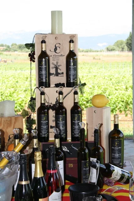 Son Cavaller - Bild 3