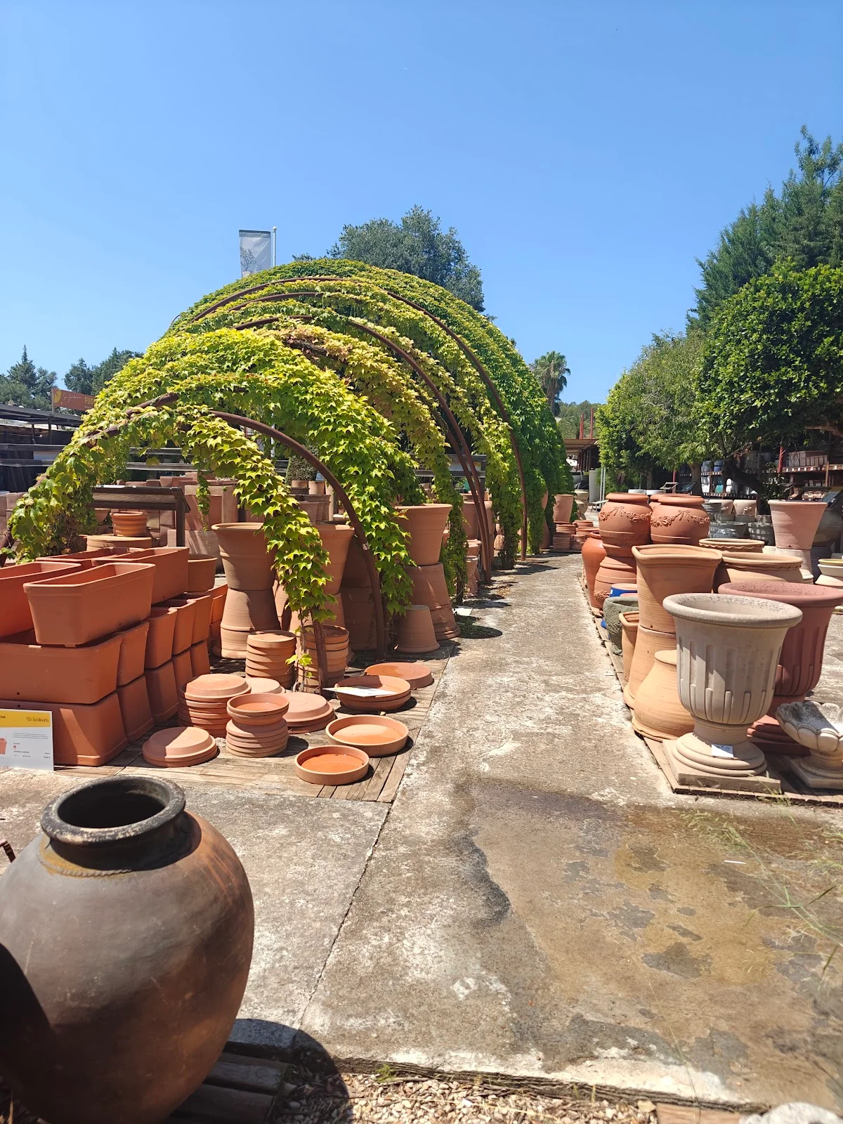 Jardins de Tramuntana - Bild 2