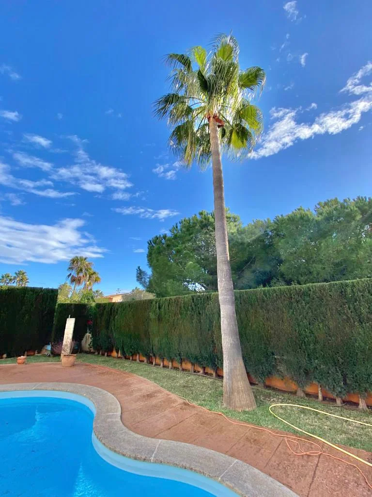 LP Mallorca i Barcelona - Bild 2