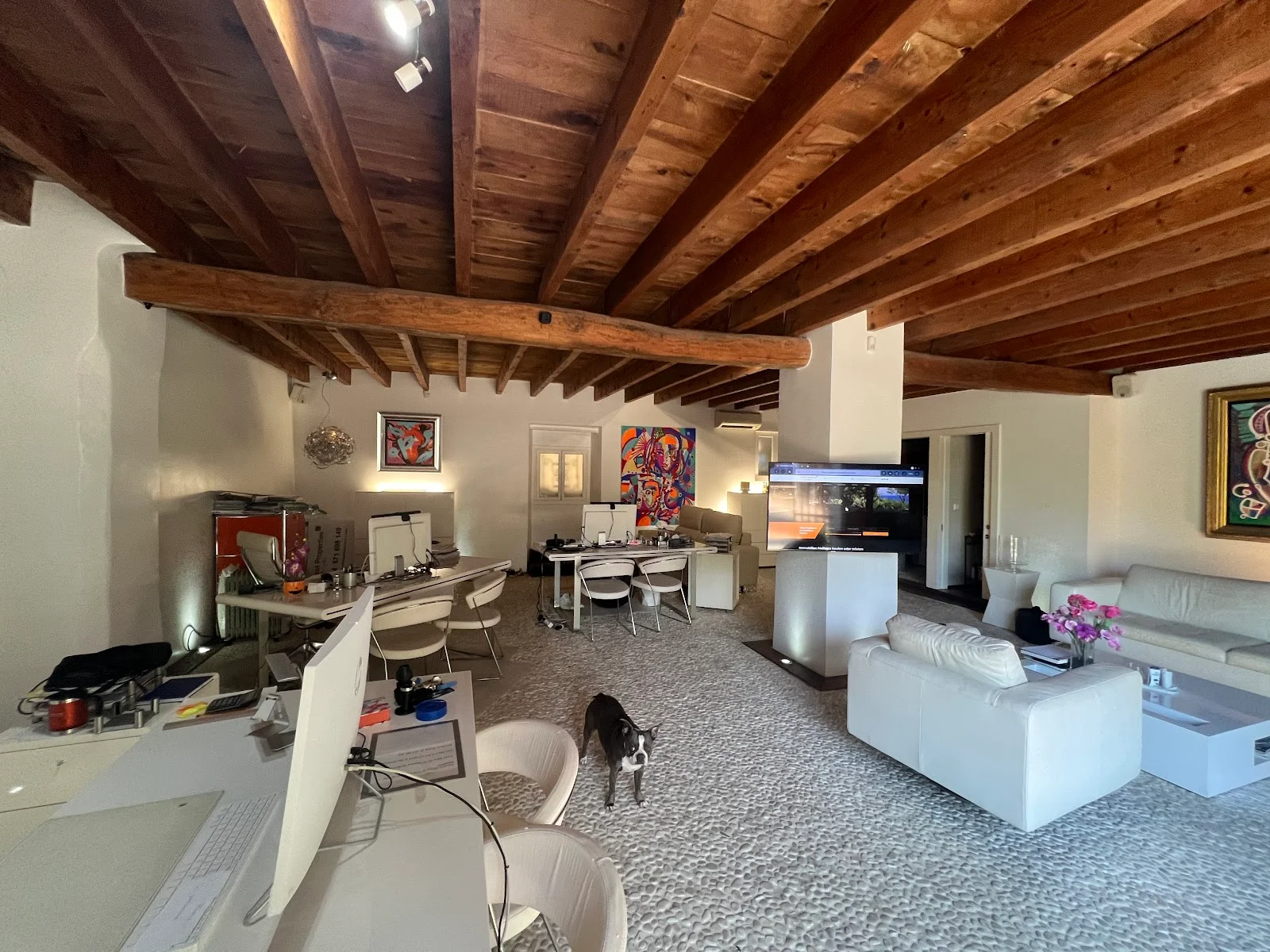 Finest Properties Mallorca - Bild 9