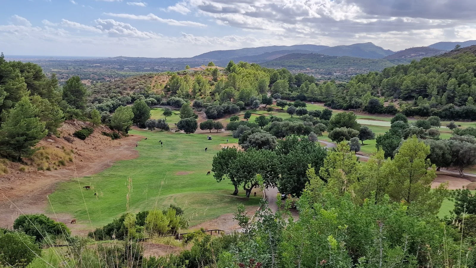 Golf de Son Termens - Bild 10