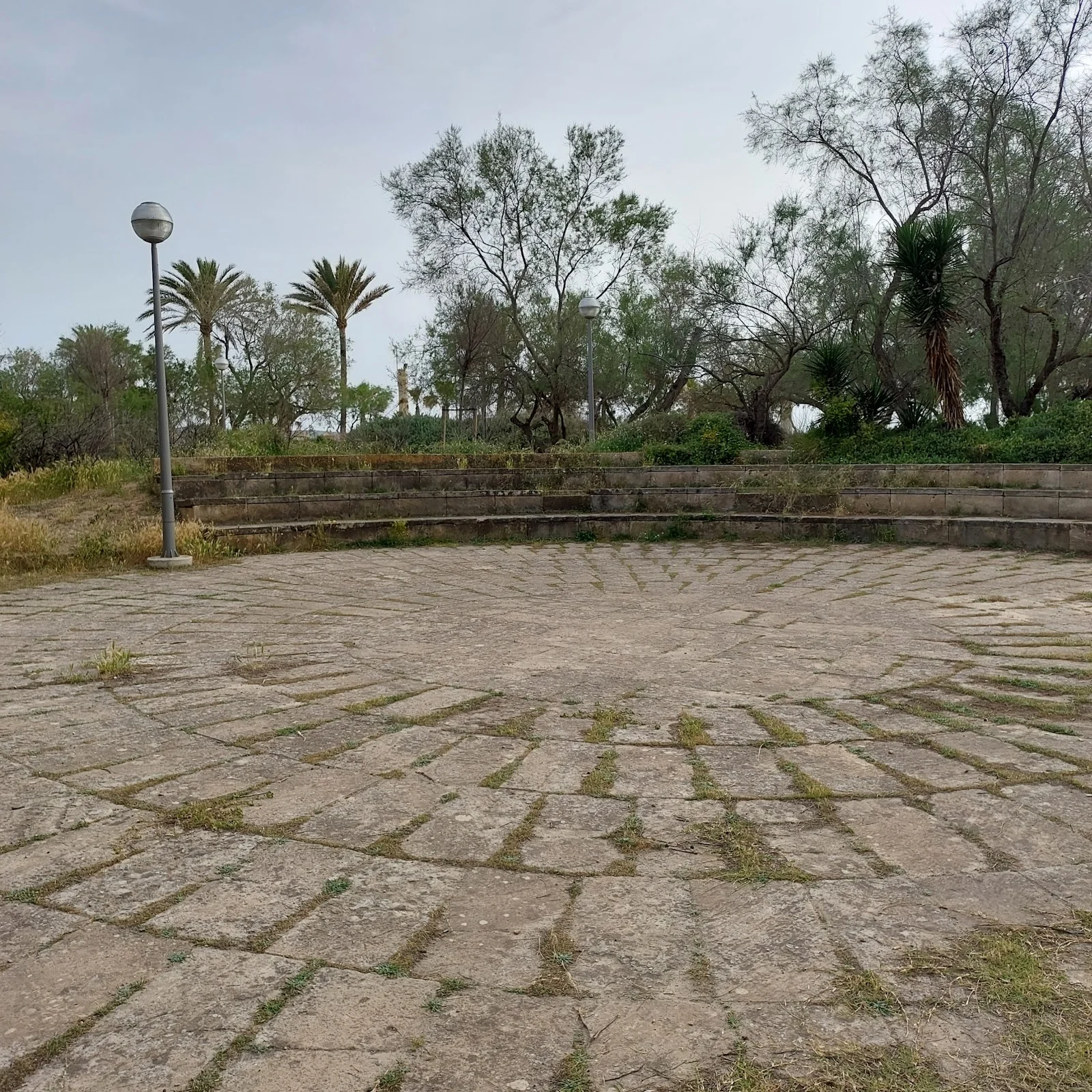 Bosque de la Playa de Palma - Bild 3