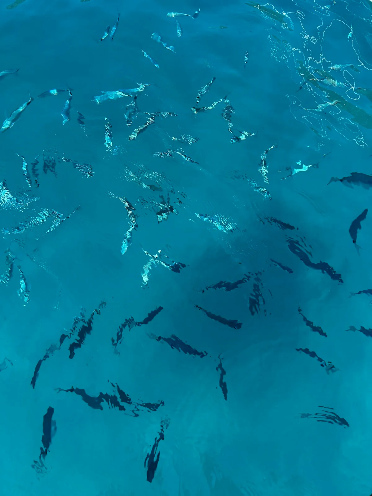 Náutica SR Mallorca - Bild 10