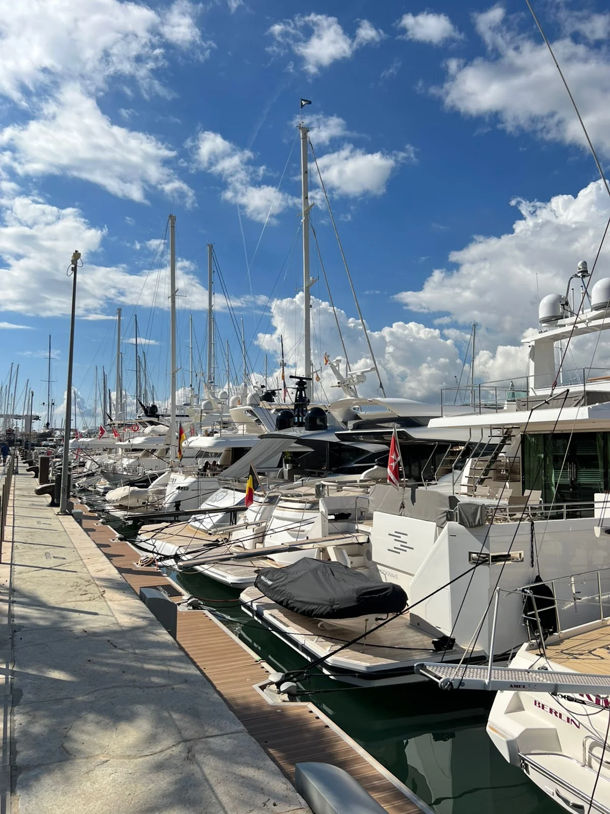 Marina Moll Vell - Bild 3