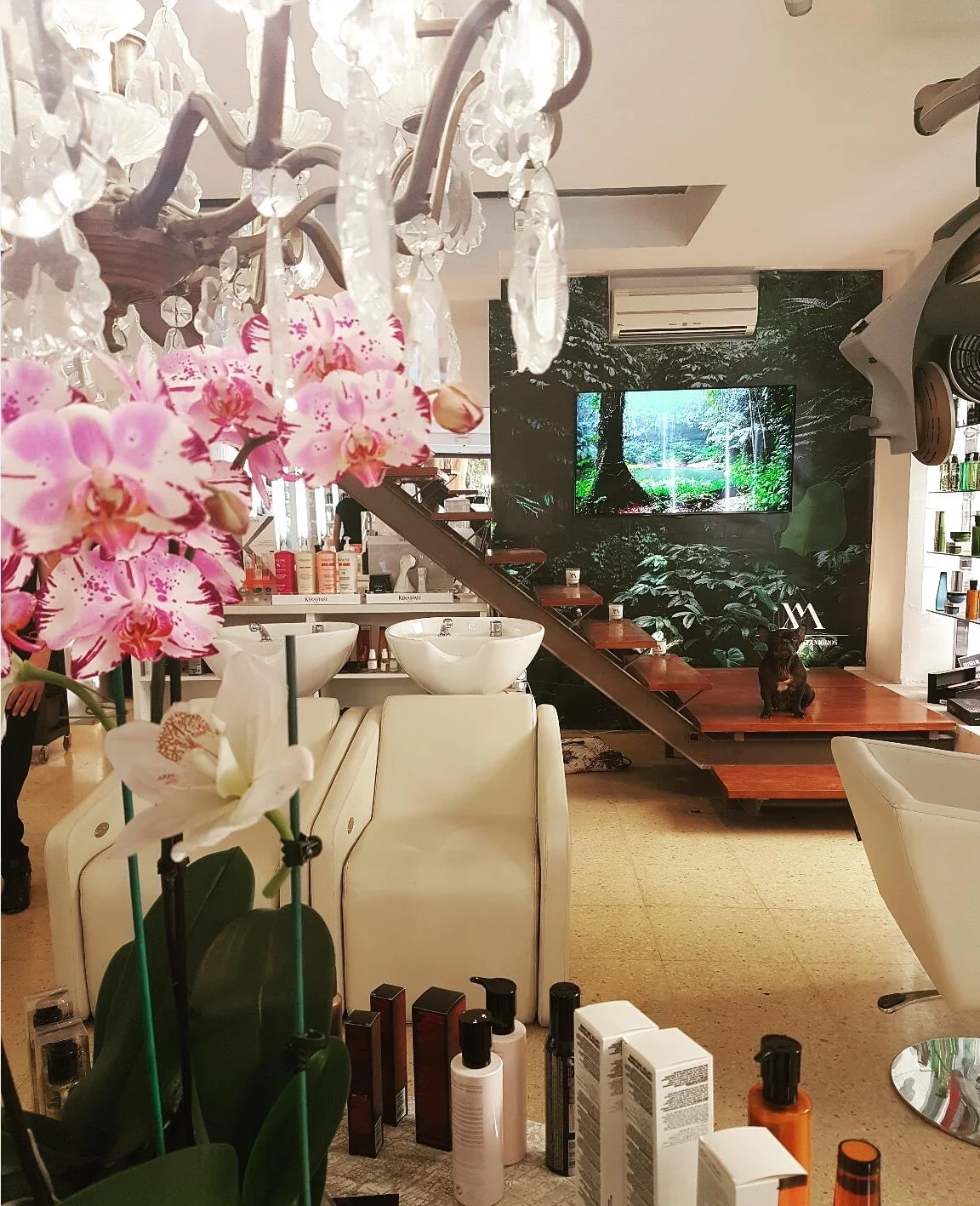 Xavier Matamoros Hairdressers - Bild 5