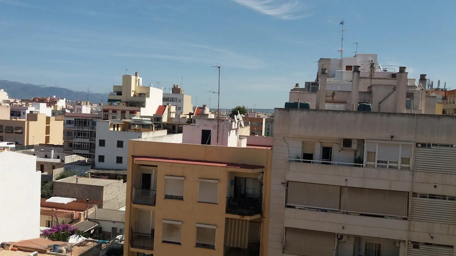 Estanco Palma 64 - Bild 10