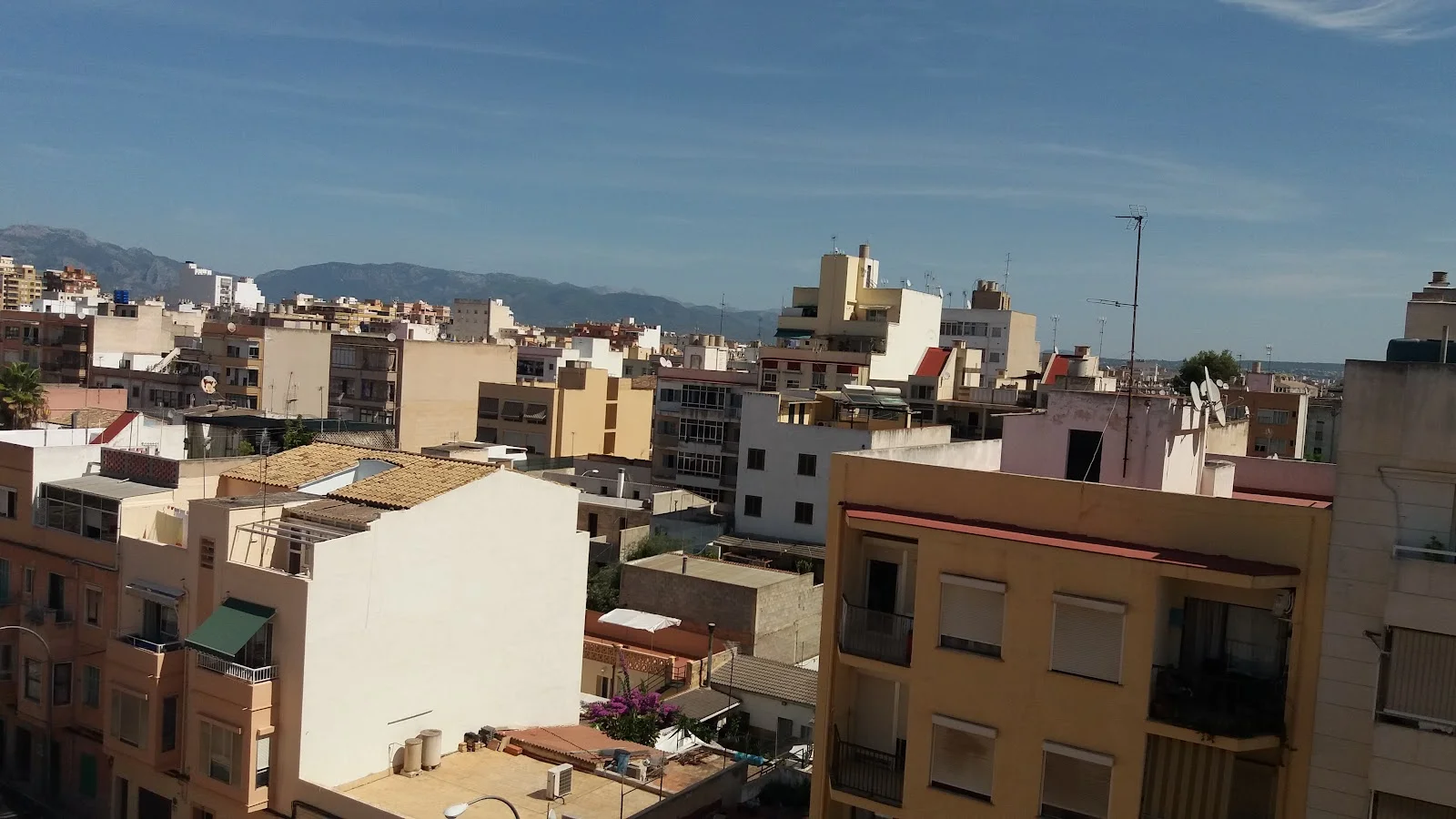 Estanco Palma 64 - Bild 6