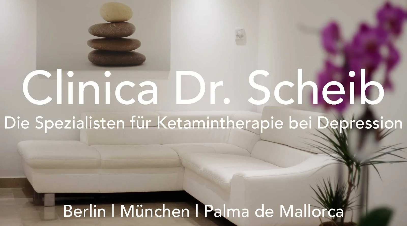 Instituto Dr. Scheib - Bild 1