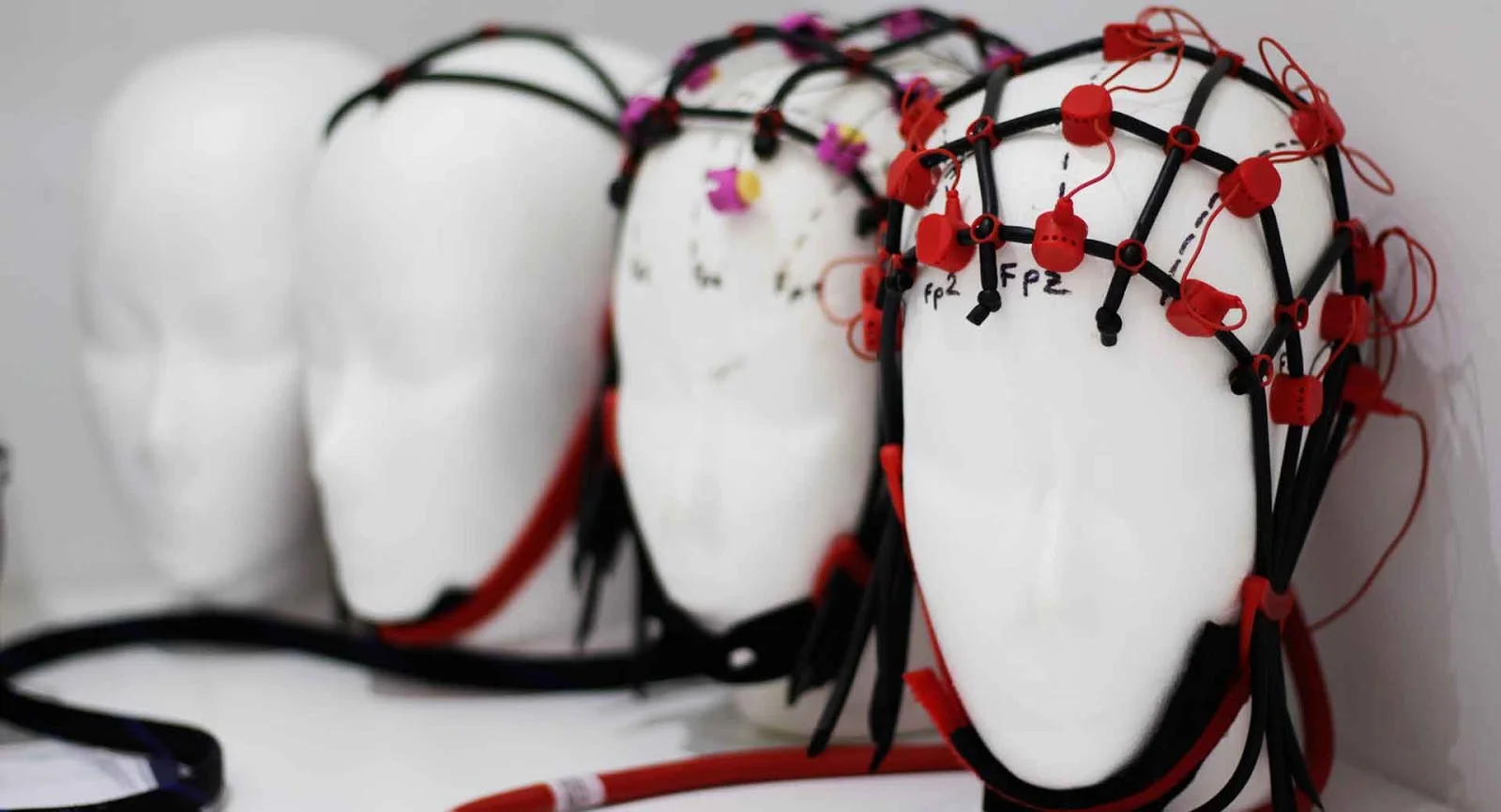 Instituto Dr. Scheib - Bild 4