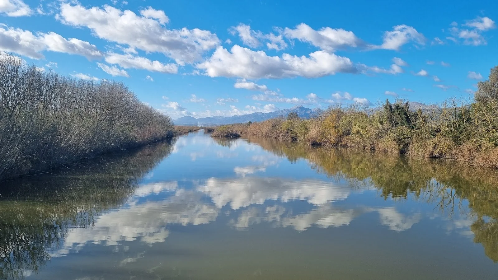 Parc Natural de s'Albufera - Bild 9