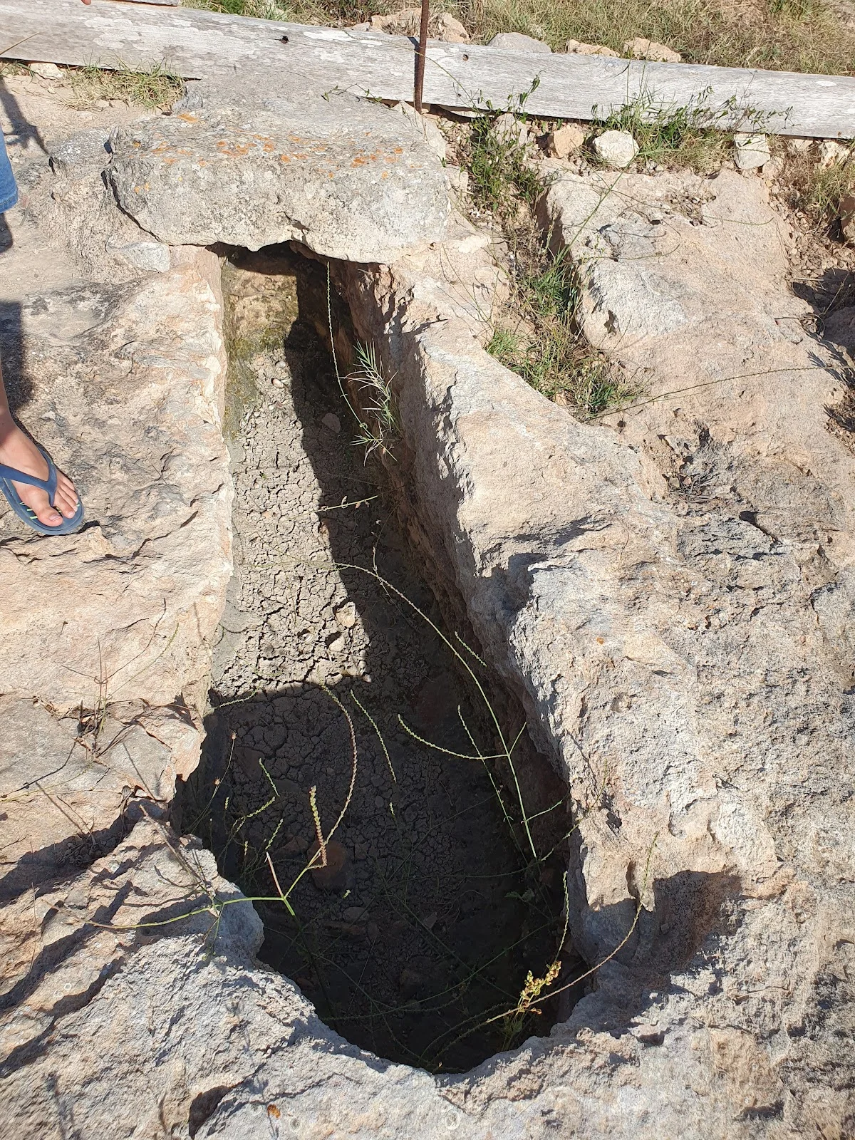 Basílica de Son Peretó - Bild 6