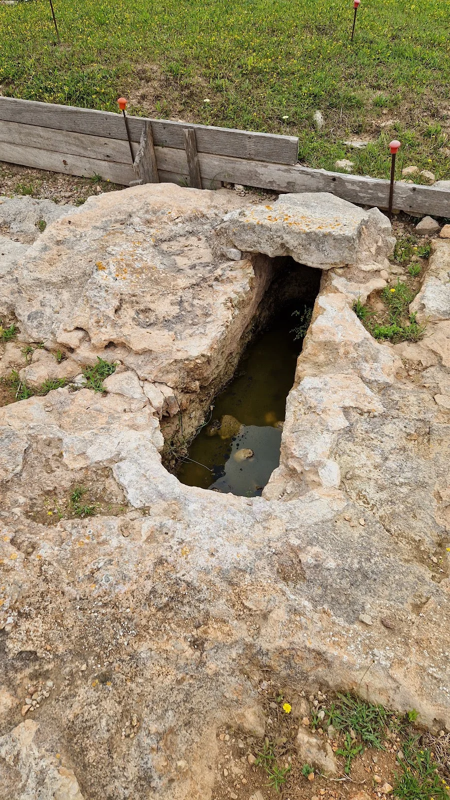 Basílica de Son Peretó - Bild 8