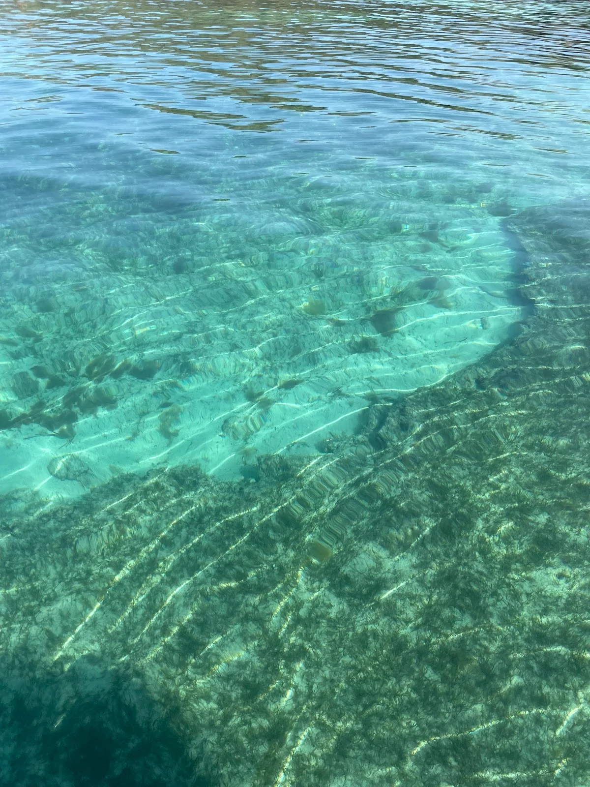 Mallorca Boat Ride - Bild 10