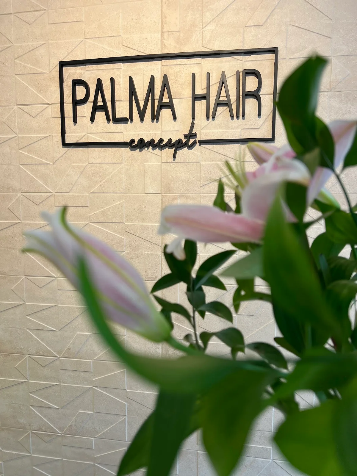 Palma Hair Concept - Bild 4