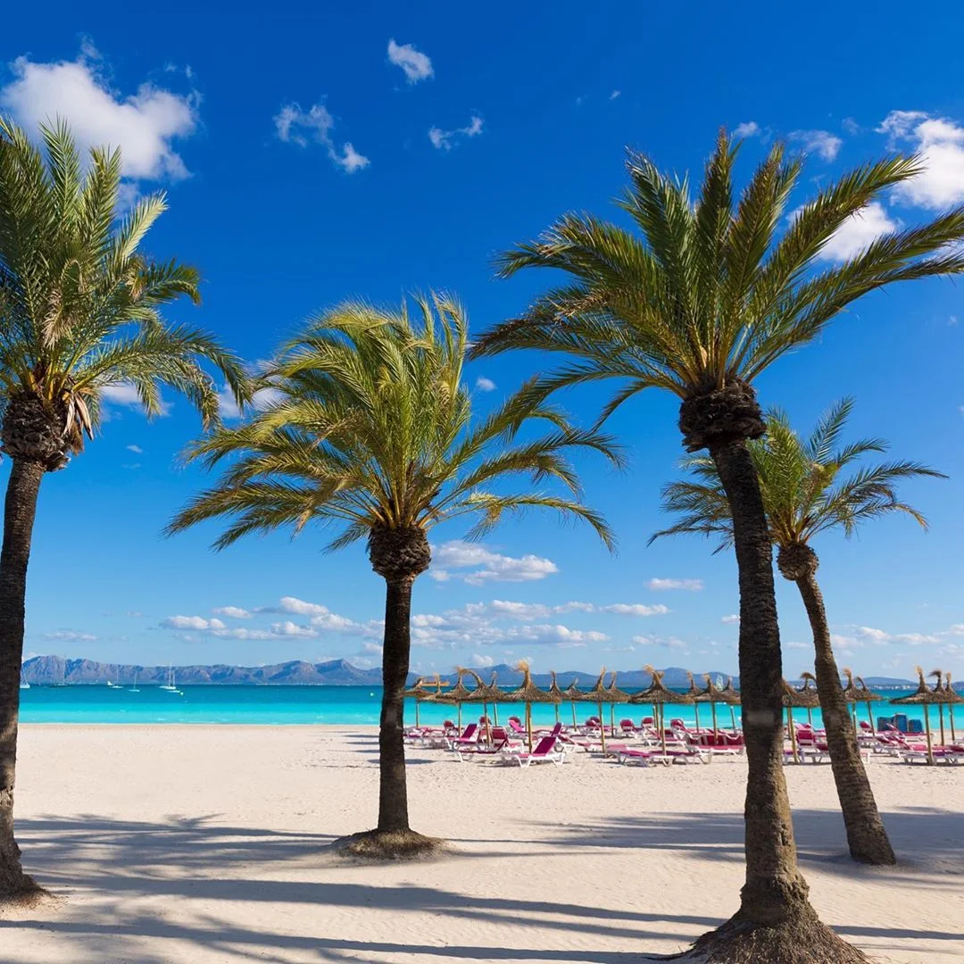 Playa de Alcudia - Bild 2
