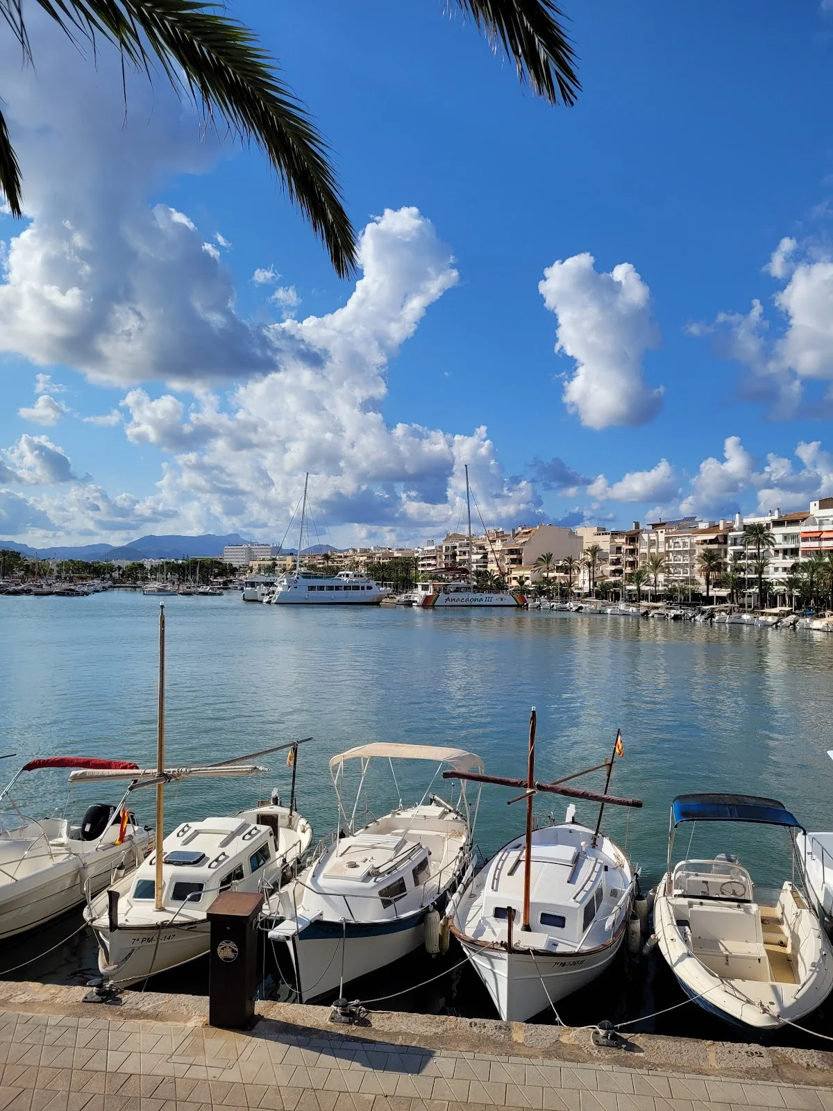 Playa de Alcudia - Bild 9