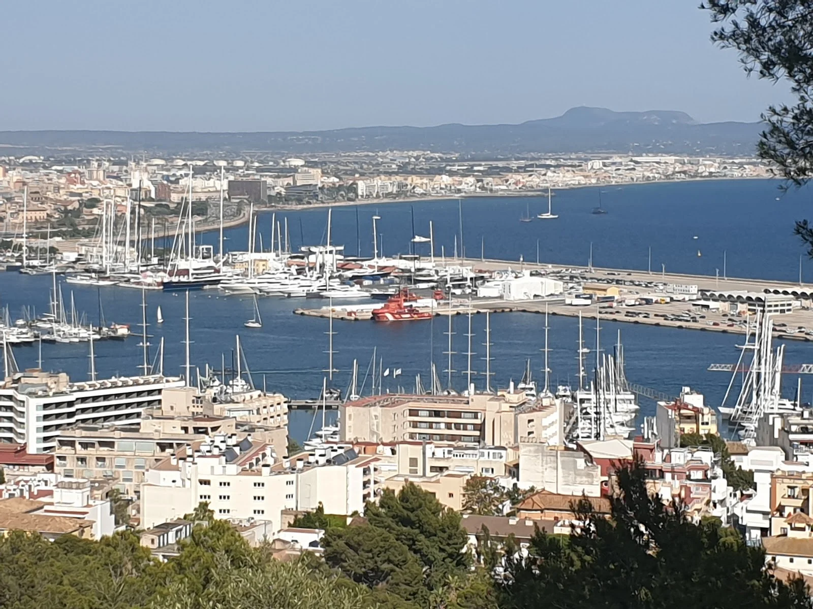 Marina Port De Mallorca - Bild 2