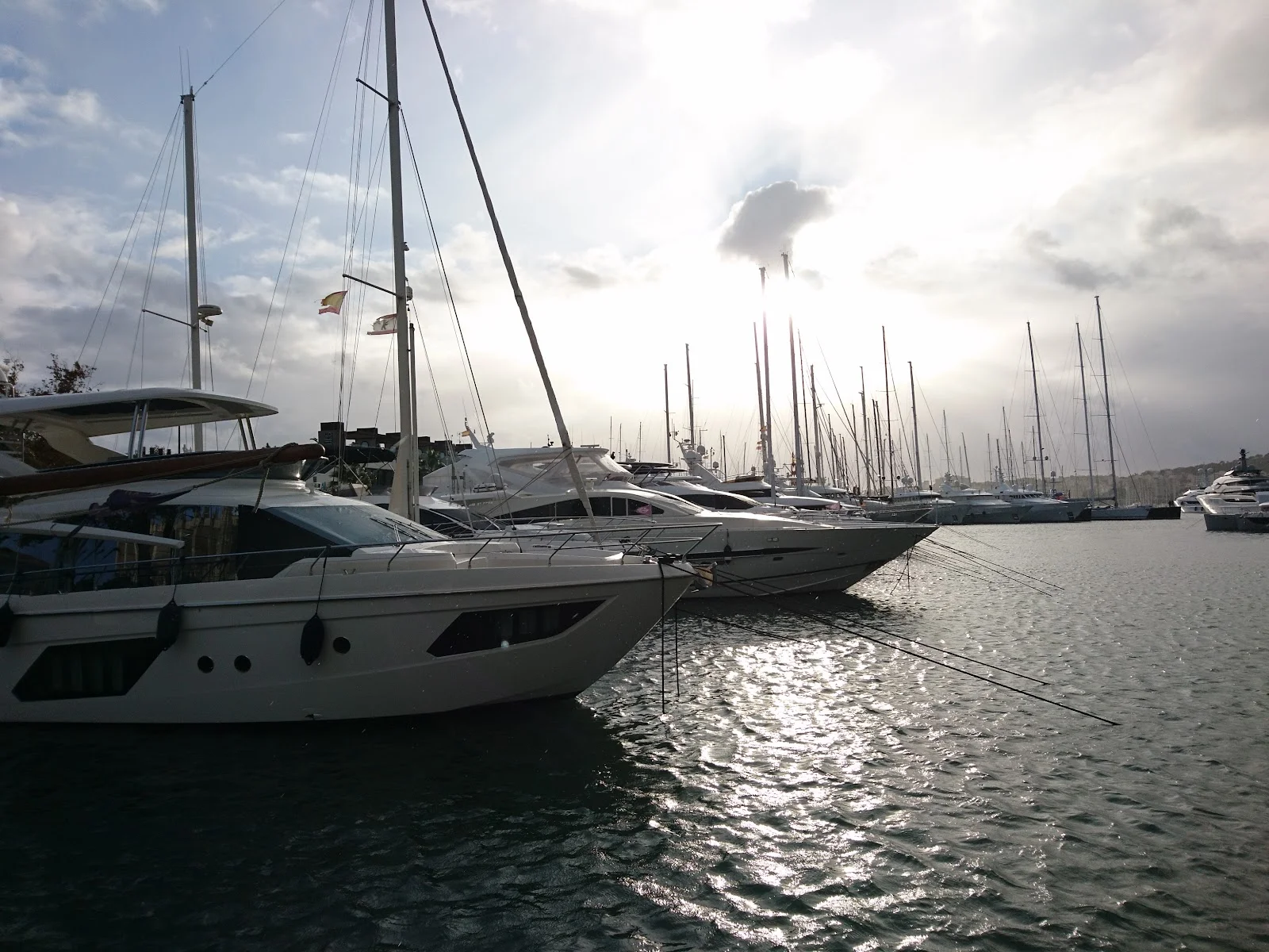 Marina Port De Mallorca - Bild 4