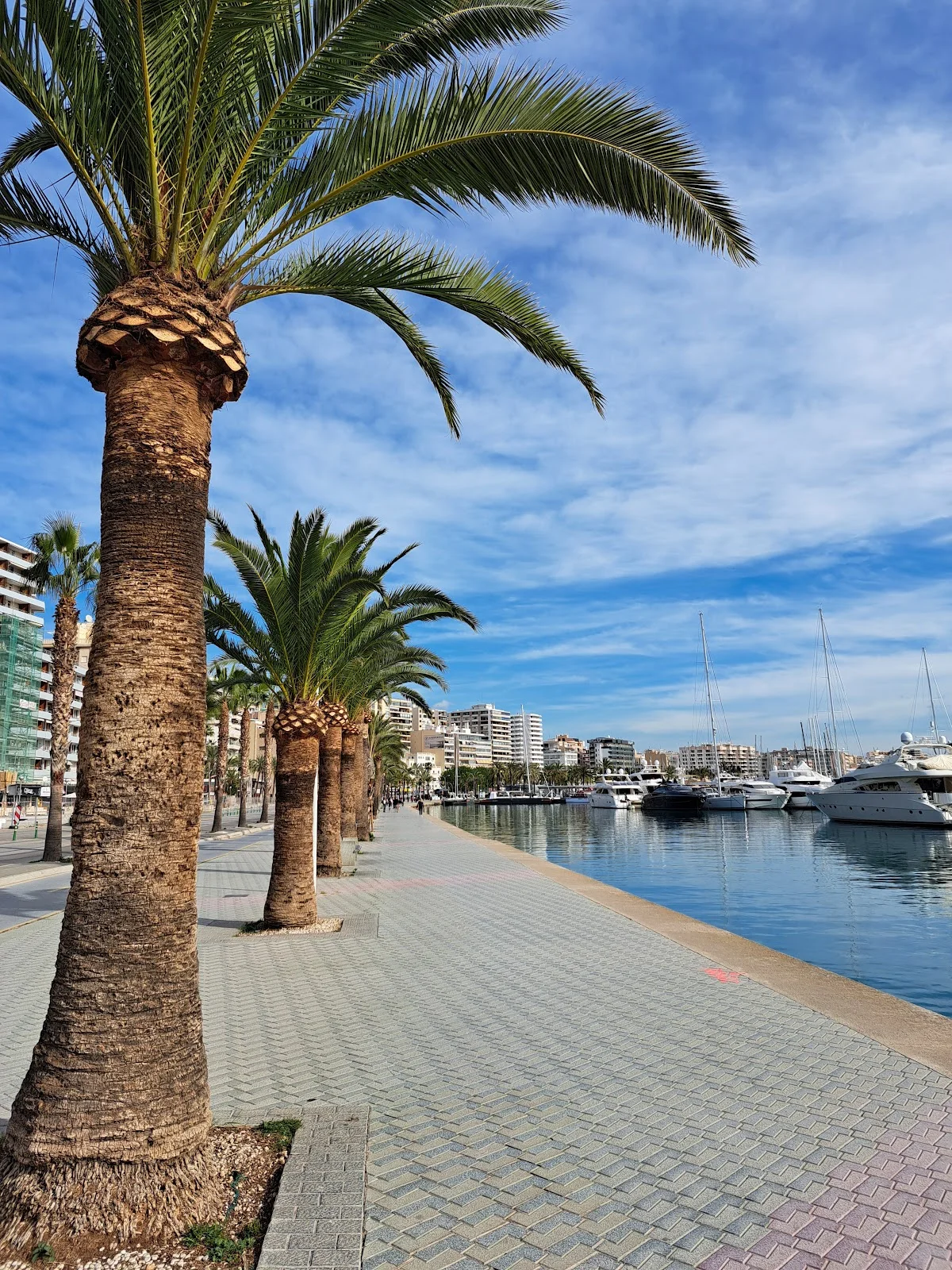 Marina Port De Mallorca - Bild 6