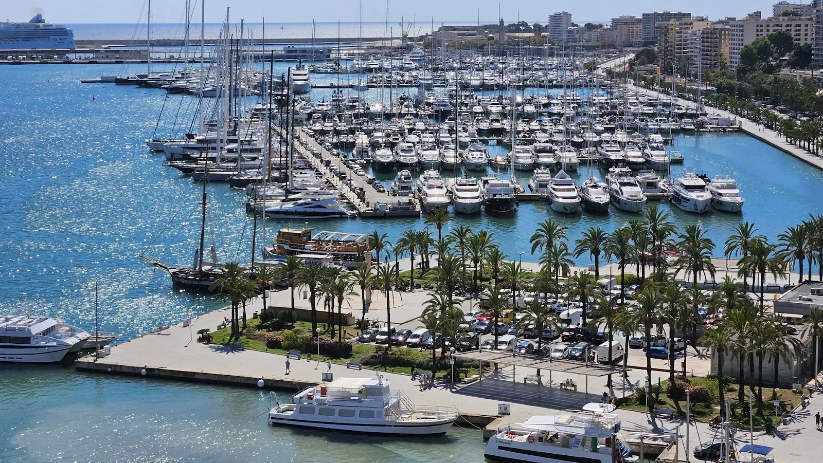 Marina Port De Mallorca - Bild 8