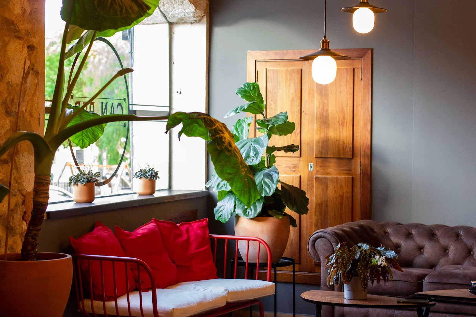 Can Pep Sineu - Bild 10