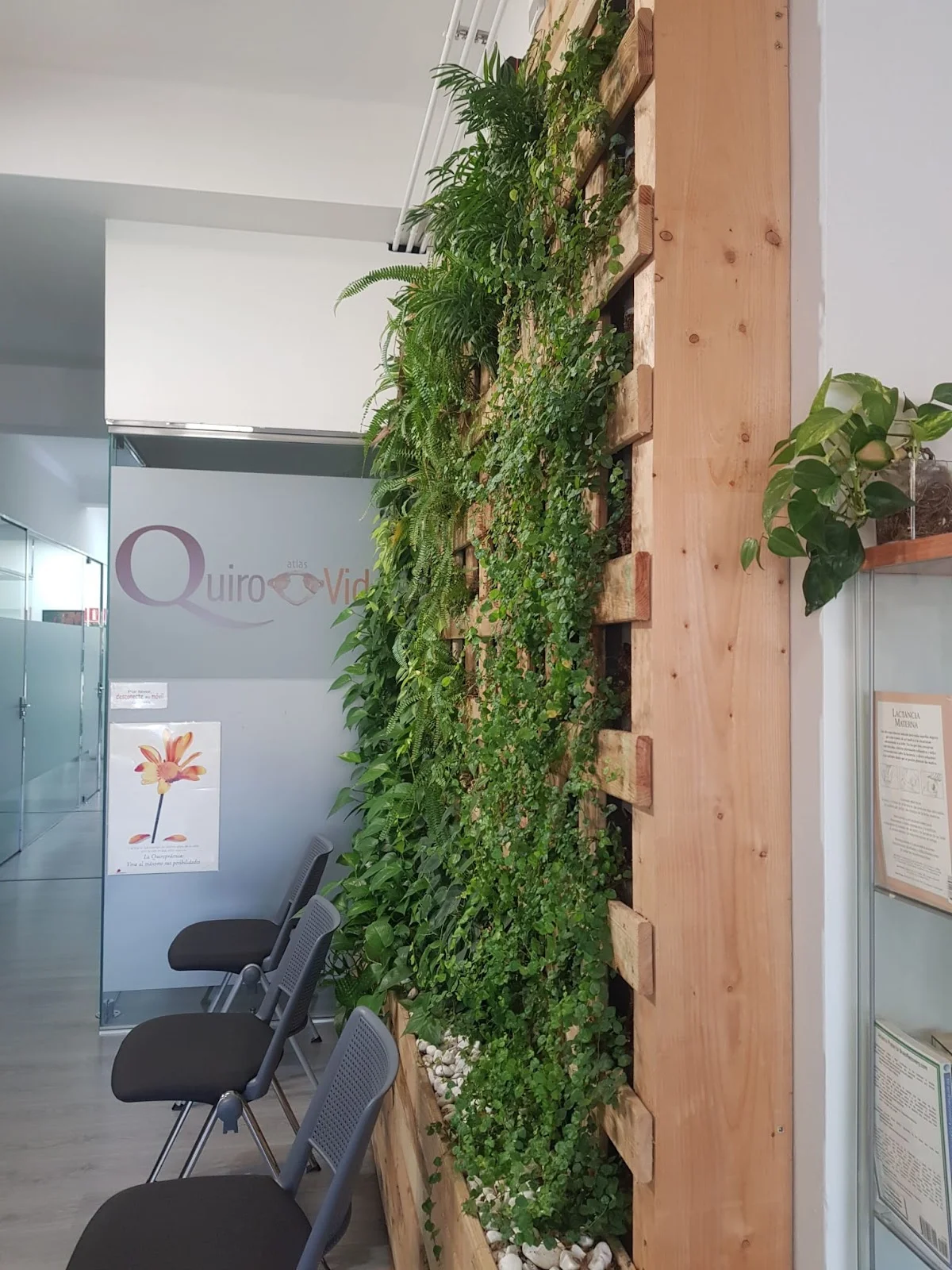 Quirovida Centro Quiropractico - Bild 10