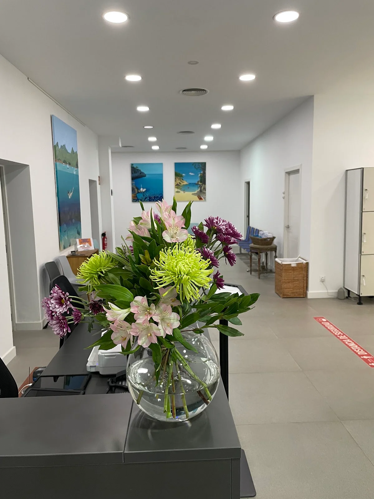 Centro Quiropráctico Jake Smith - Bild 1