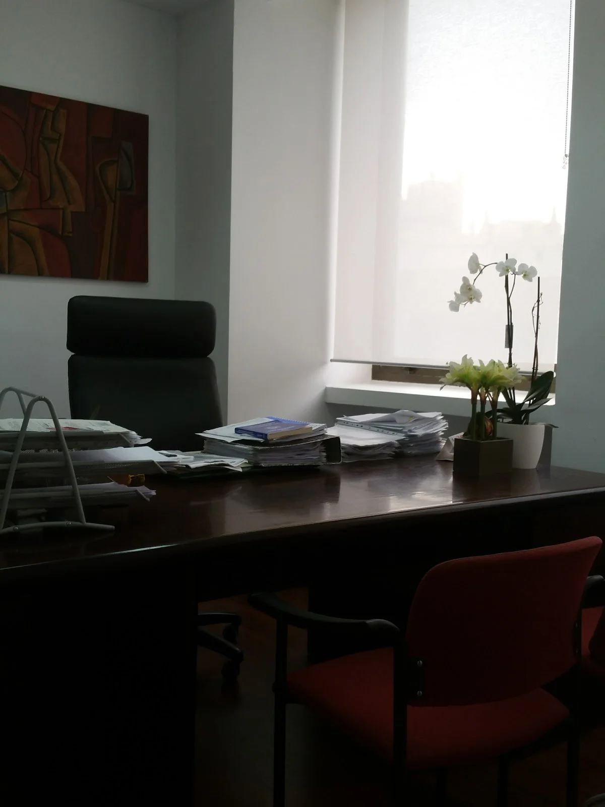 Abogadas Olmos - Bild 3