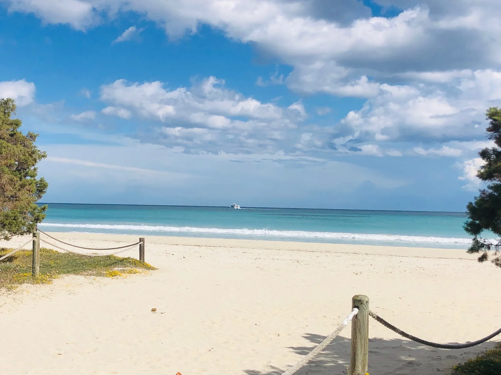 Mallorca Dream - Bild 1