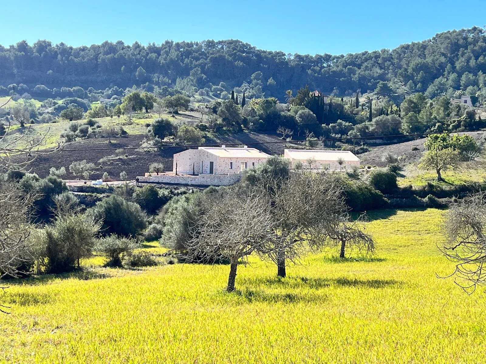 Mallorca Dream - Bild 5