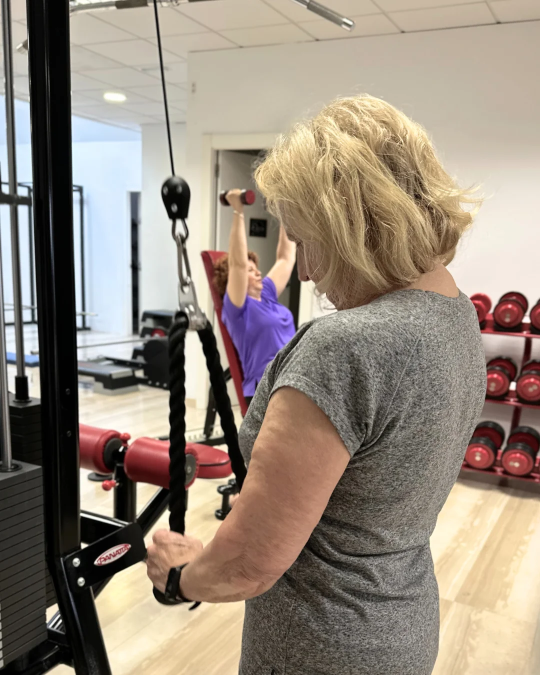 Natural Gym - Bild 2