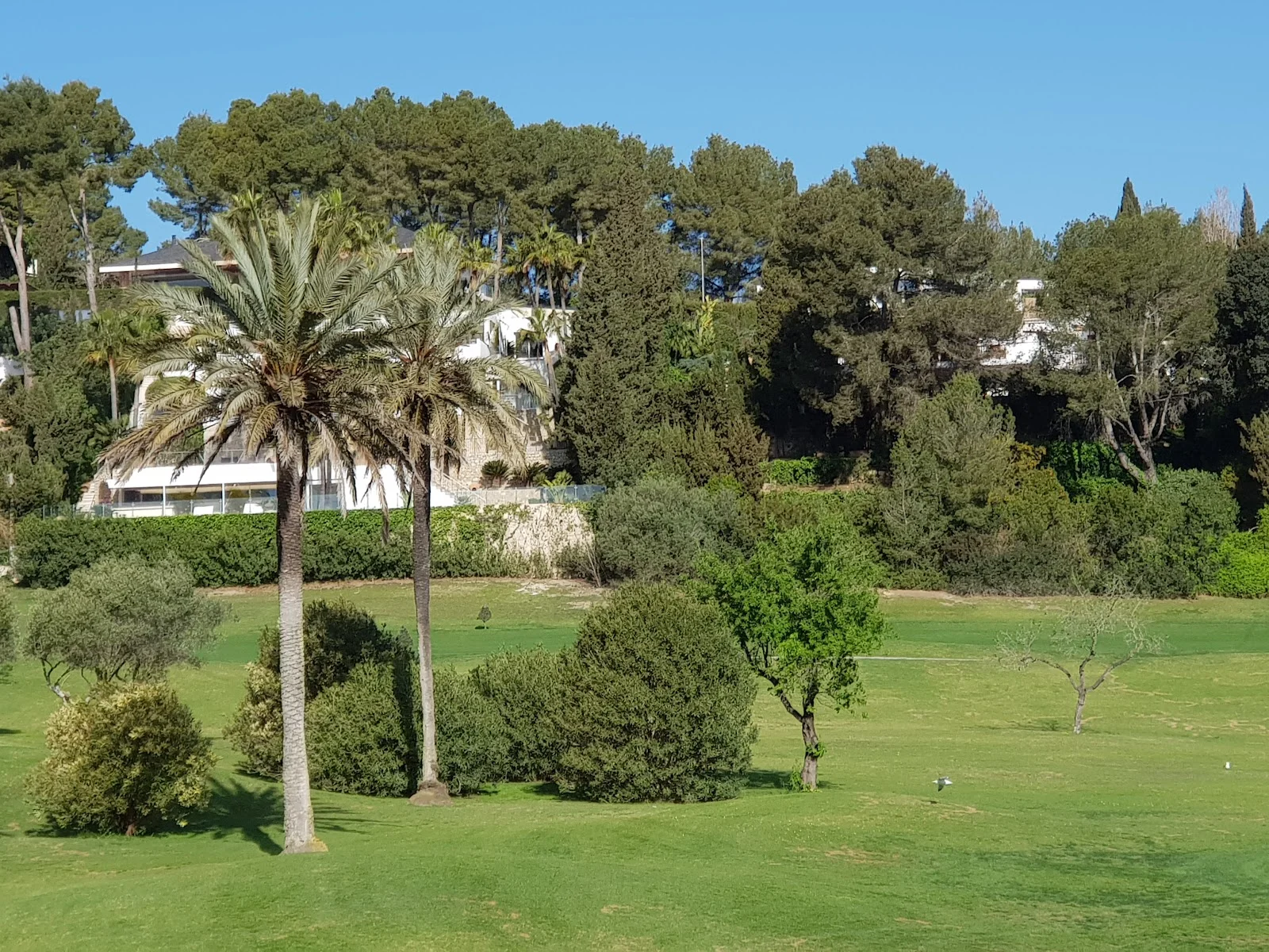 Golf Son Vida - Bild 9