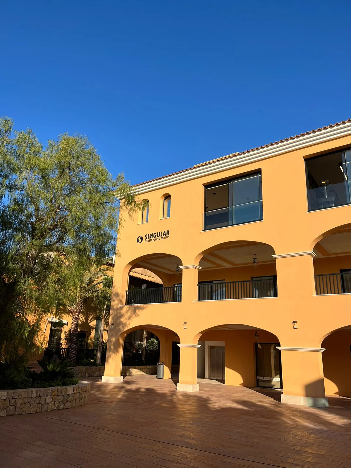 Singular Fitness - Bild 3