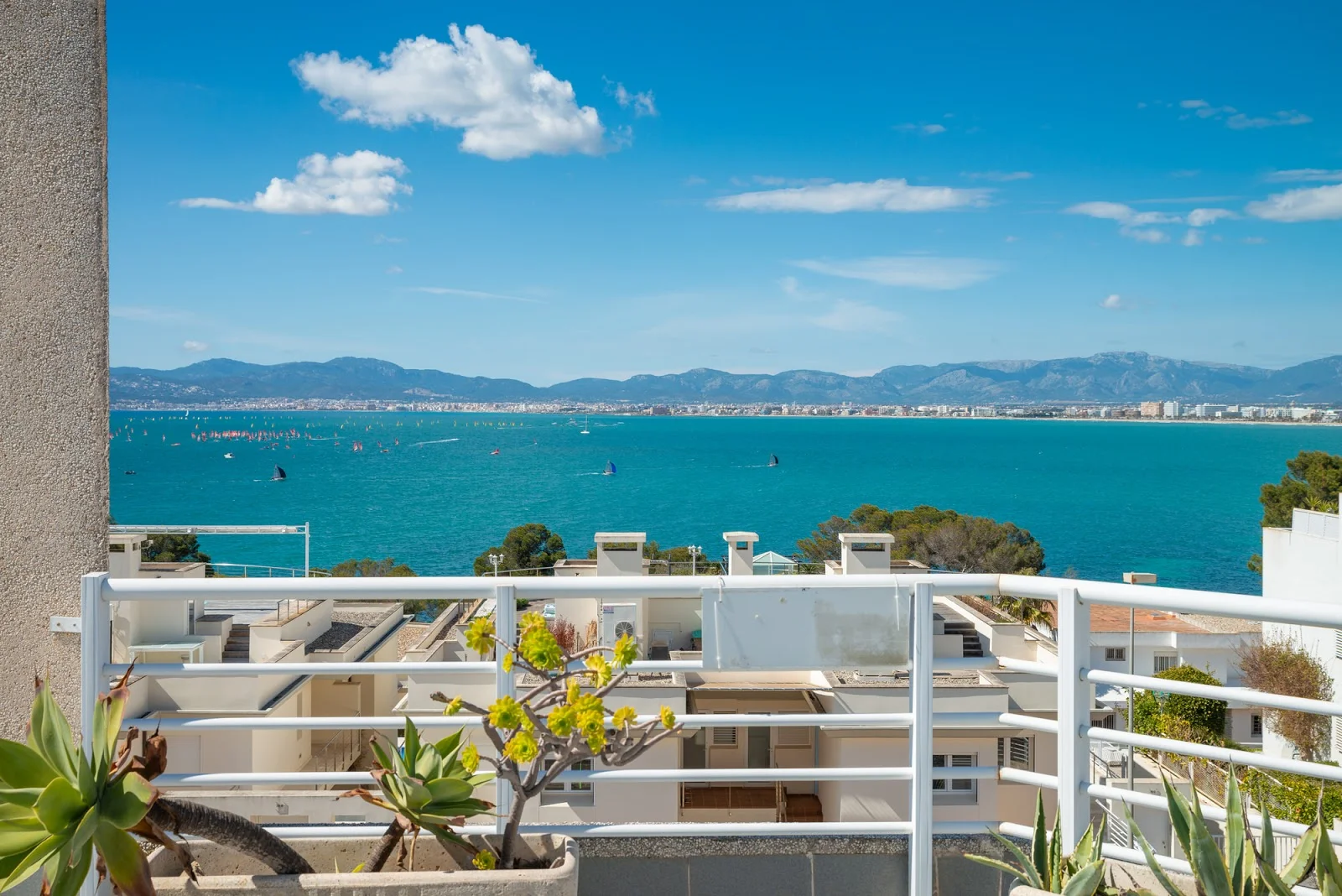 BB IMMOBILIEN MALLORCA - Bild 7