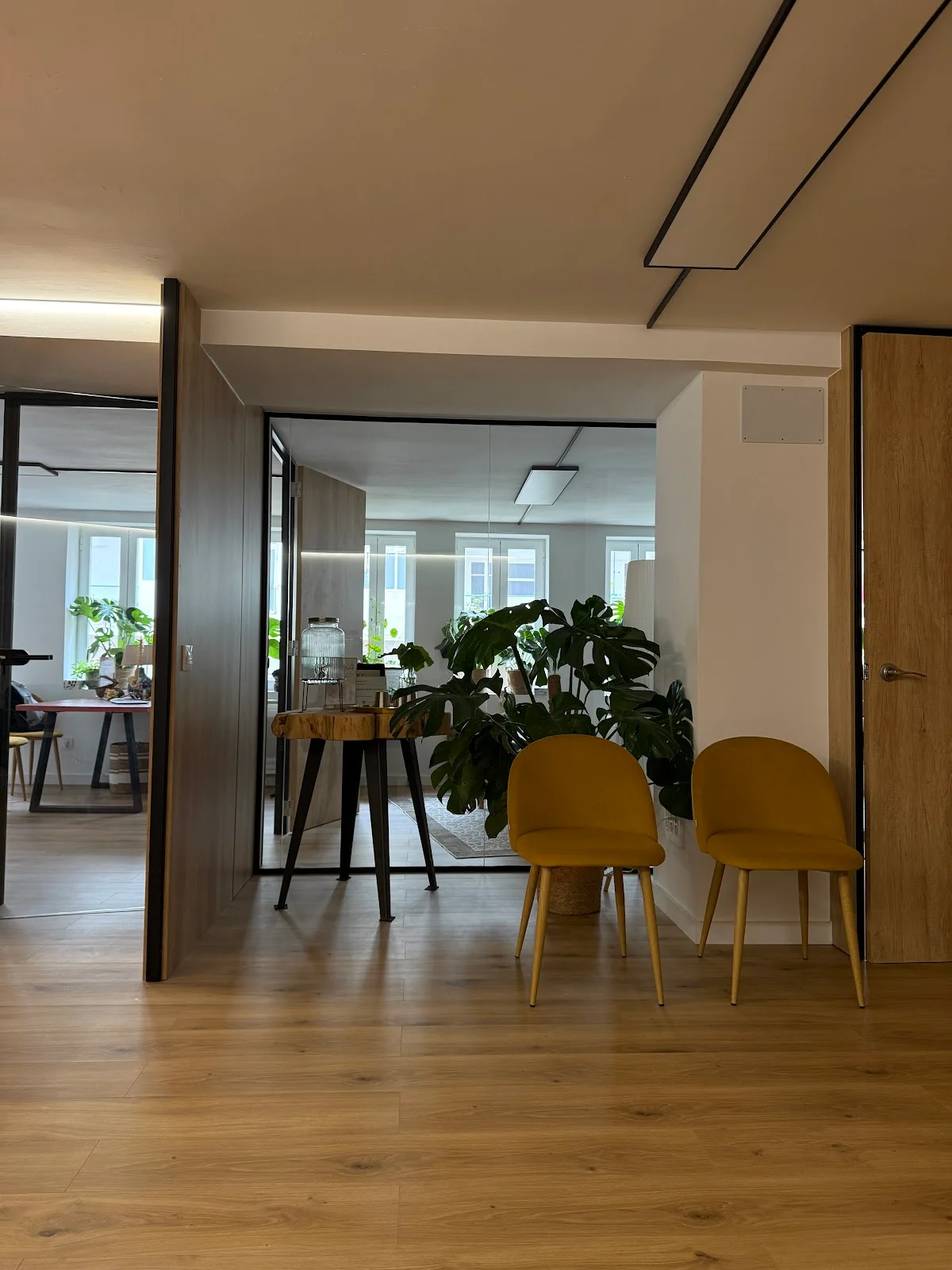 Quiropráctico Bar Halevy - Bild 3