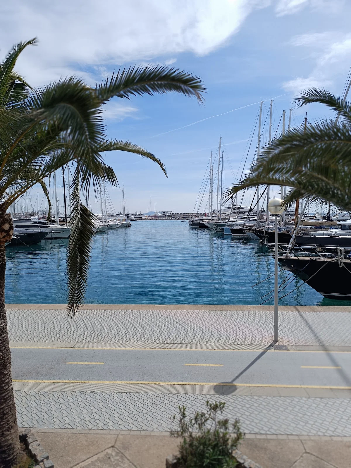 Magenta Yachts - Bild 2